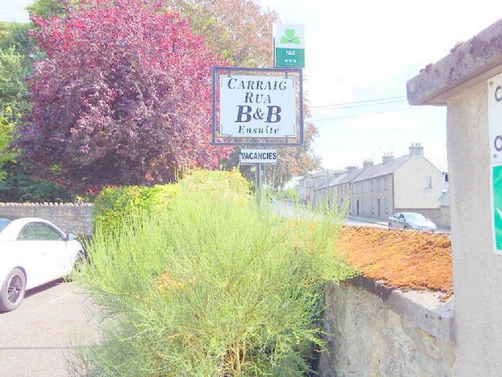 Carraig Rua Bed and Breakfast Kilkenny Eksteriør billede